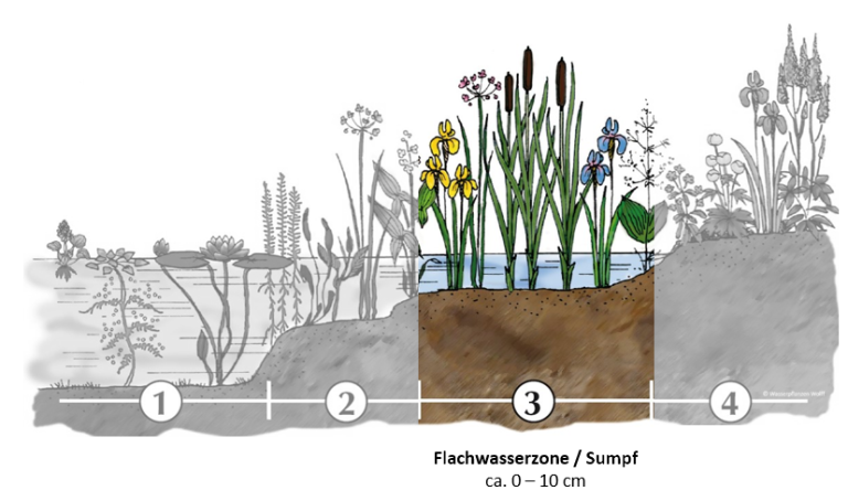 Flachwasserzone